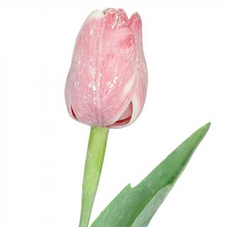 Bílo-červený tulipán - 43 cm