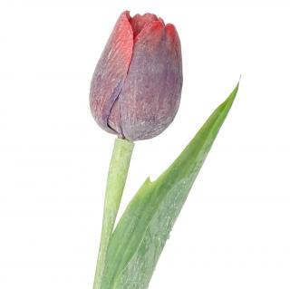 Burgundy tulipán - 43 cm