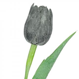 Černý tulipán - 43 cm