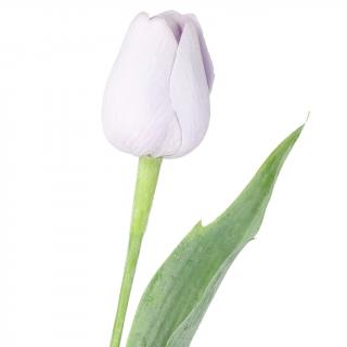 Fialový tulipán - 43 cm
