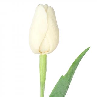 Ivory tulipán - 43 cm