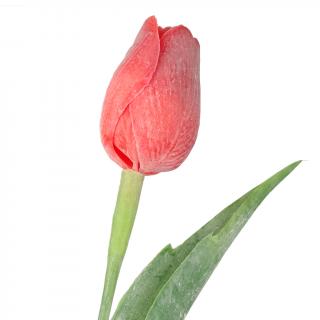 Jasně červený tulipán - 43 cm