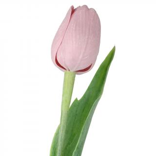 Mauve tulipán - 43 cm