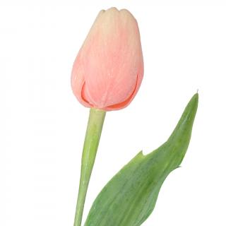 Pastelově korálový tulipán - 43 cm