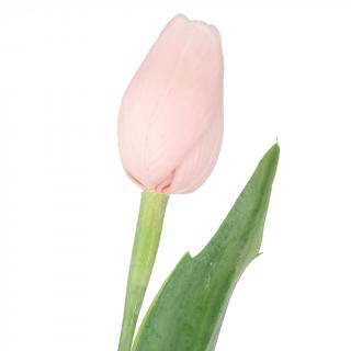 Pastelově lososový tulipán - 43 cm