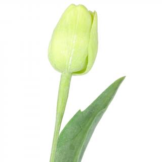 Světle zelený tulipán - 43 cm