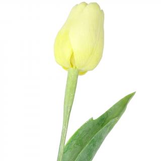 Světle žlutý tulipán - 43 cm