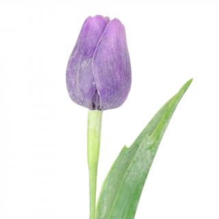 Tmavě fialový tulipán - 43 cm