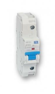 Jistič SEZ PR 121 C 100A, 1P (0099261)