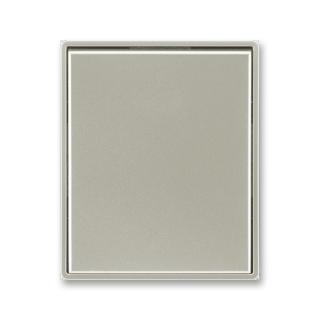 Kryt spínače jednoduchý, 3558E-A00651 32, ABB, Time®, Time® Arbo, starostříbrná (ABB, Time®, Time® Arbo, starostříbrná)