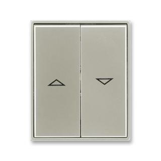 Kryt spínače žaluziového, 3558E-A00662 32, ABB, Time®, Time® Arbo, starostříbrná (ABB, Time®, Time® Arbo, starostříbrná)