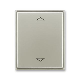 Kryt spínače žaluziového s krátkocestným ovladačem, 3299E-A00110 32, ABB, Time®, Time® Arbo, starostříbrná (ABB, Time®, Time® Arbo, starostříbrná)