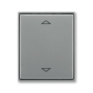 Kryt spínače žaluziového s krátkocestným ovladačem, 3299E-A00110 36, ABB, Time®, Time® Arbo, ocelová (ABB, Time®, Time® Arbo, ocelová)