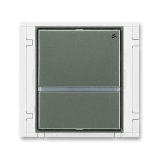 Vysílač radiofrekvenčního (RF) signálu dvojtlačítkový, 3299E-A21908 34, ABB, Time®, Time® Arbo, antracitová (ABB, Time®, Time® Arbo, antracitová)