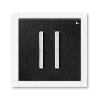 Vysílač RF signálu, nástěnný, dvojnásobný, 3299M-A11908 74, ABB, Neo® Tech, onyx / titanová (ABB, Neo® Tech, onyx / titanová)