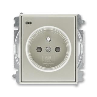 Zásuvka bezšroubová s ochranou před přepětím, 5589E-A02357 32, ABB, Time®, Time® Arbo, starostříbrná (ABB, Time®, Time® Arbo, starostříbrná)