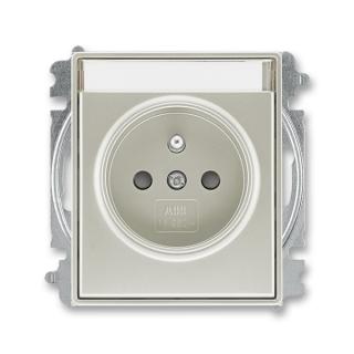 Zásuvka jednonásobná s clonkami, s popisovým polem, 5519E-A02352 32, ABB, Time®, Time® Arbo, starostříbrná (ABB, Time®, Time® Arbo, starostříbrná)