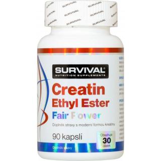 Creatin Ethyl Ester Fair Power Velikost: 90 cps