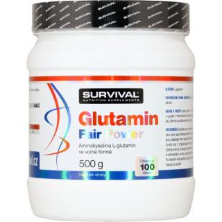 Glutamin Fair Power Velikost: 500 g, Příchuť: exp. 17. 03. 2022