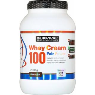 Whey Cream 100 Fair Power Velikost: 1000 g, Příchuť: jablečný štrúdl