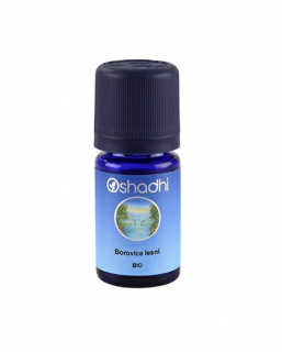 Bio lesní borovice 5 ml Oshadhi