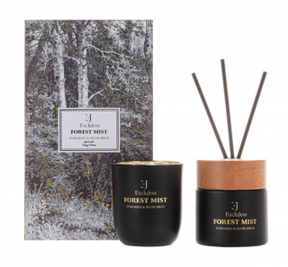 Dárkový set pokojového parfému a svíčky Evergreen & Silver Birch ExcluJess
