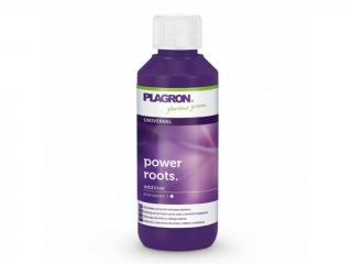 Plagron Power Roots 100ml