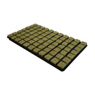 RW kostka 3,6 x 3,6 cm včetně sádbovače (plato 77ks)