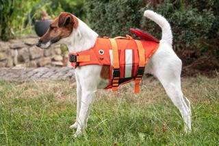 CROCI Clownfish Plovací vesta oranžová L