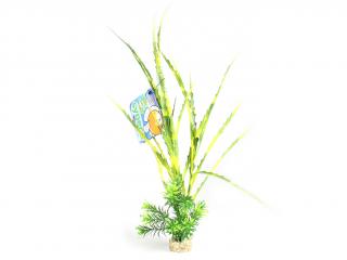 SYDECO rostlina do akvária, L 8 – 37 cm