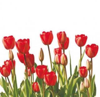Taška PE ucho 44 x 47 cm, tulipány