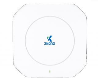 Zkong ESL AP