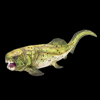 Mojo Dunkleosteus