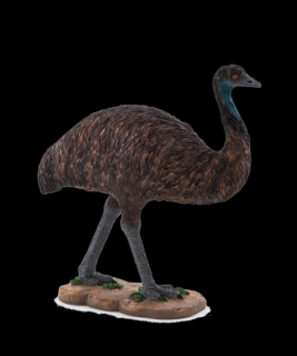 Mojo Emu