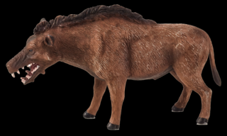 Mojo Entelodont Daeodon