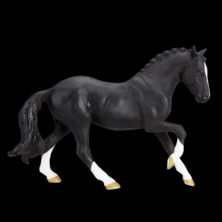 Mojo Hanoverský černý kůň