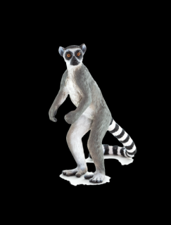 Mojo Lemur kata