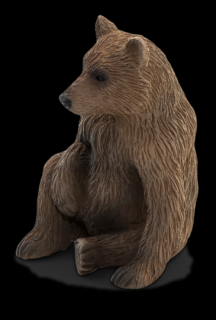 Mojo Medvěd grizzly mládě