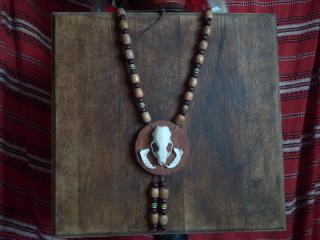 amulet na krk lebka a čelisti z Norka Amerického (cena za kus)