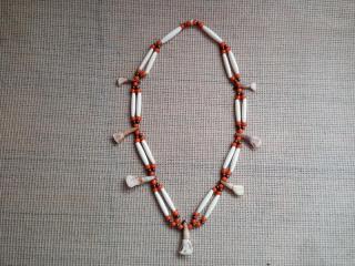 amulet náhrdelník zuby z býka,kostice,korálky (cena za kus)