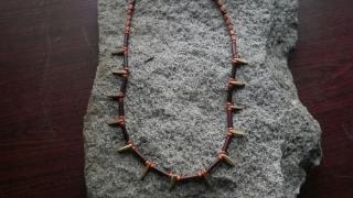 náhrdelník zuby,dřevěné hnědé korálky,dřevěné tmavě hnědé trubičky (cena za kus)