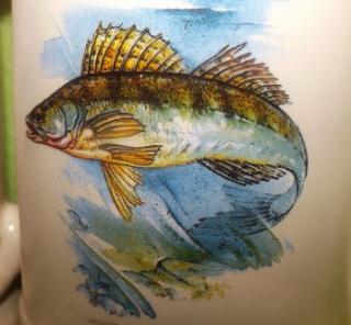 Ručně malovaný půllitr s rybou pro rybáře Obrázek: CANDÁT