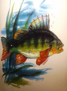 Ručně malovaný půllitr s rybou pro rybáře Obrázek: OKOUN