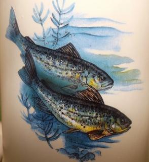 Ručně malovaný půllitr s rybou pro rybáře Obrázek: PSTRUH