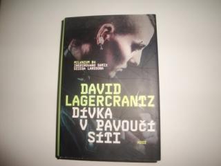 Dívka v pavoučí síti-David Lagercrantz