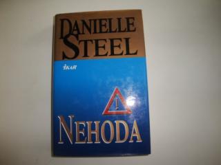 Nehoda-Danielle Steel