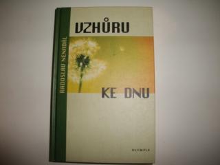 Vzhůru ke dnu-Radoslav Nenadál