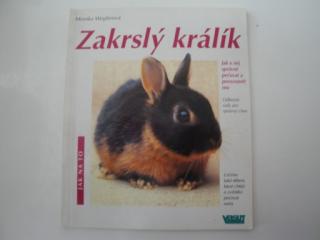Zakrslý králík-Moniak Weglerová