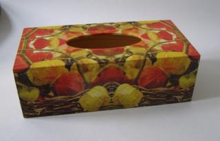 Krabička dřevěná na papírové kapesníky - Mochyně