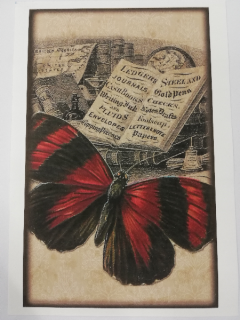 Nažehlovací obrázek na textil - Motýl a kniha - 20 x 12,5 cm